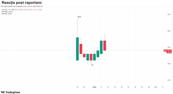 TradeVille: Grup EM - profitabilitate sub presiune
